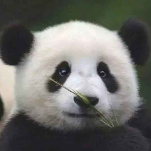 _@