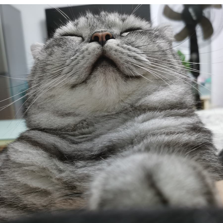 MON。