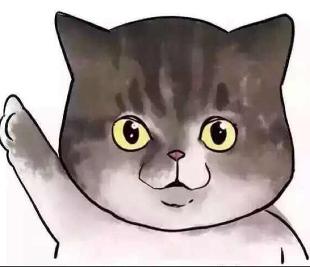 babytiger