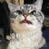 王萌萌