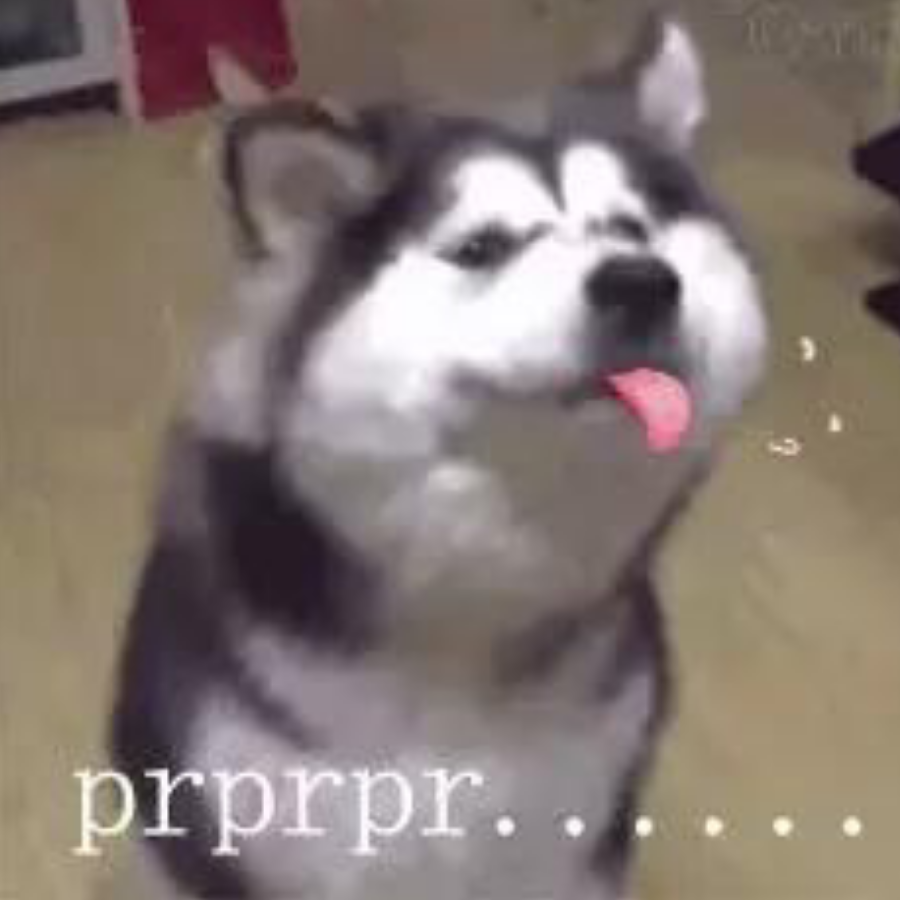 陆地大老虎