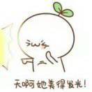 韬大帅