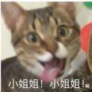 没有昵称