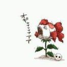 子非鱼