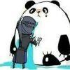 看到我的阿尔弗了么。
