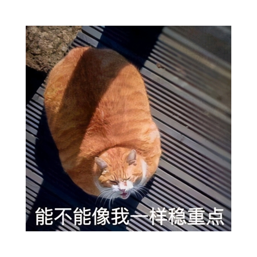 洛少天