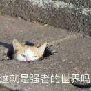小闲