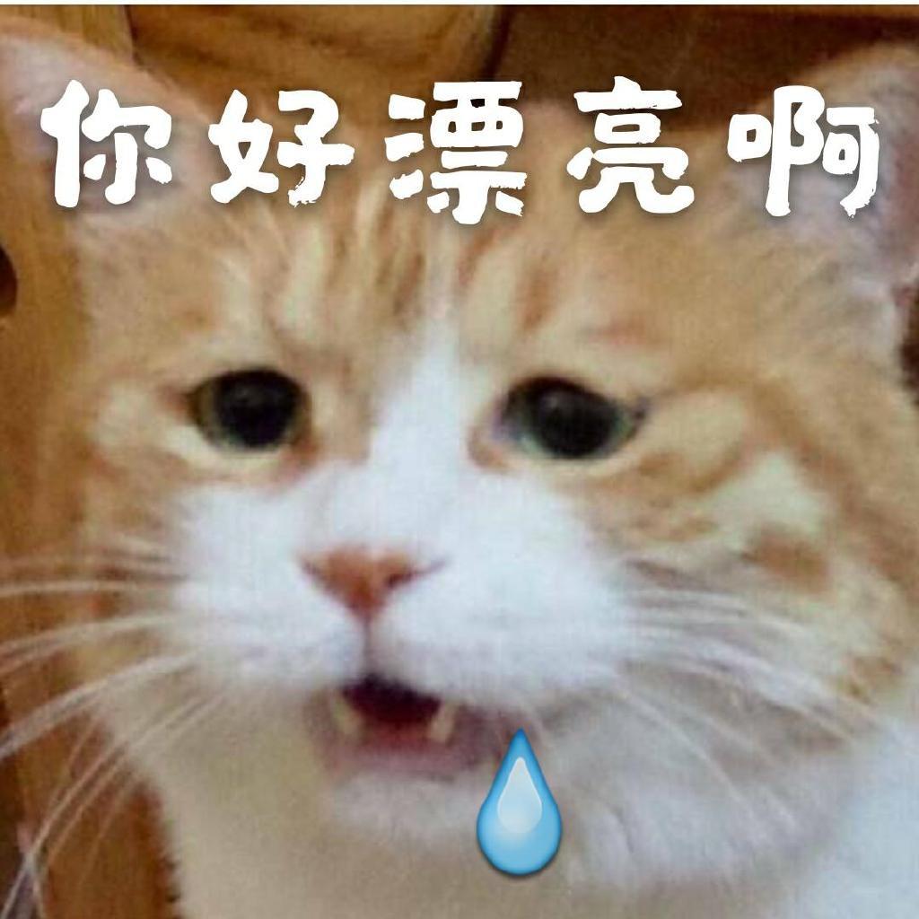 爱豆就要xxx
