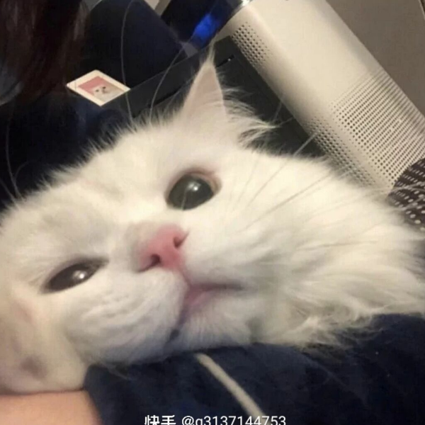 阿翟