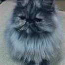 看海￡呆呆
dianlai