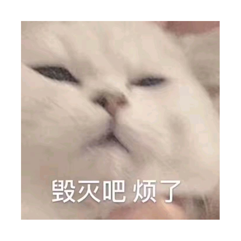 握手言和s