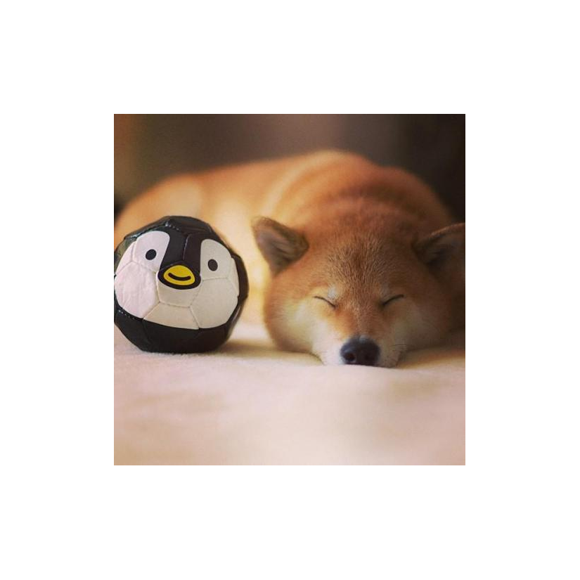 念