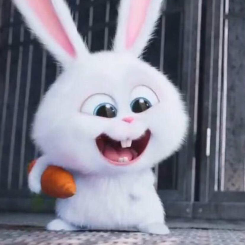 卖女孩的小火柴