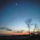 “当威尔逊遇上现实！