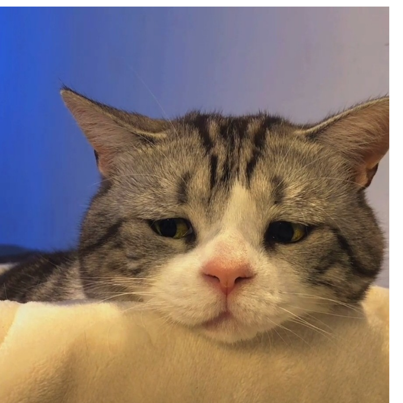 年轻人要讲武德