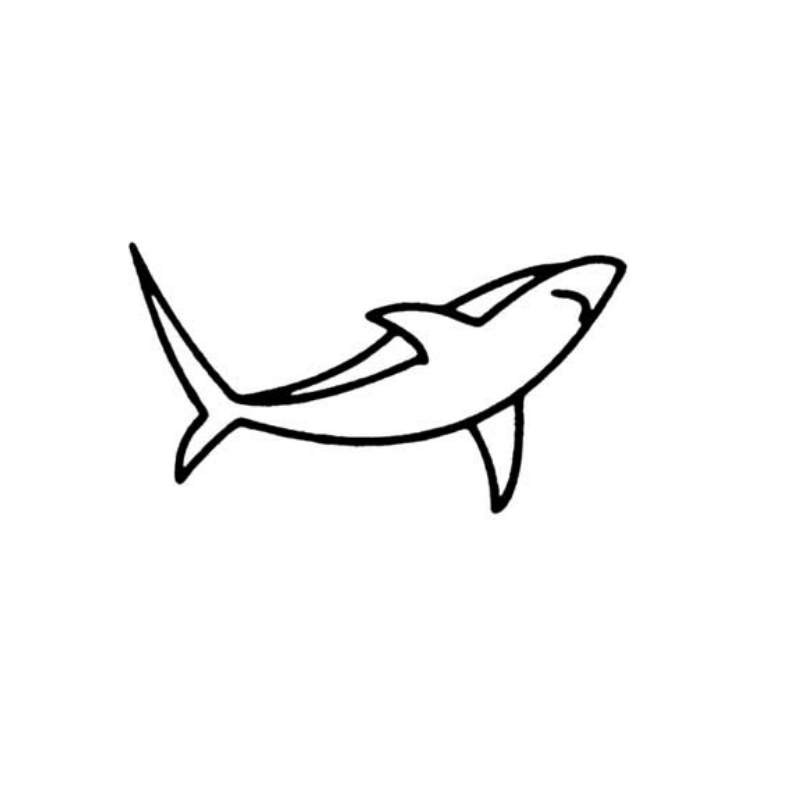 小虎鲨