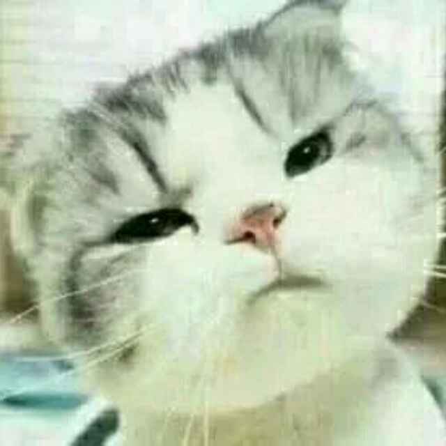 User8841820