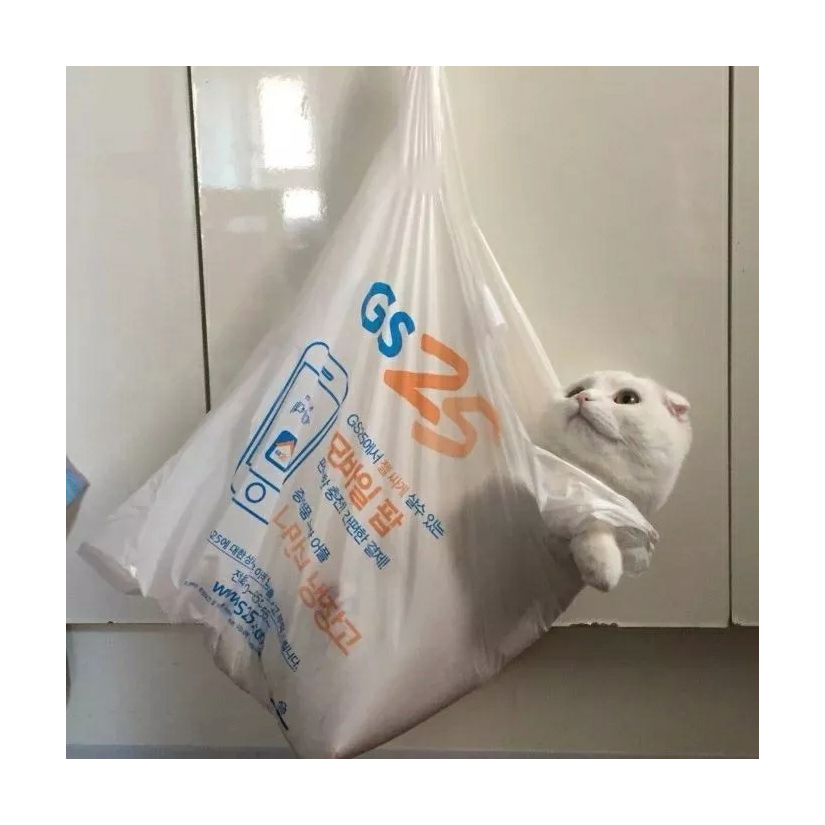 深度了解本人可爱