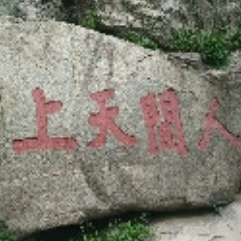 特浓叔