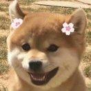 小米๑