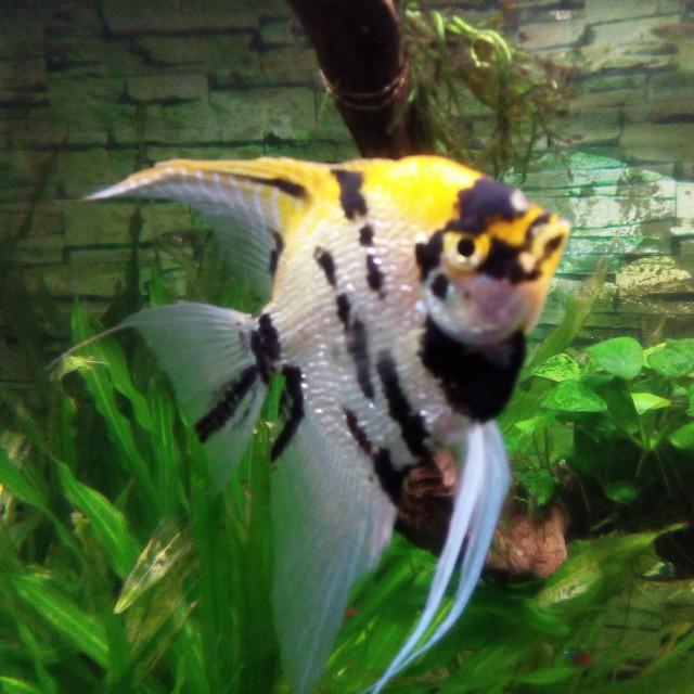 熊2