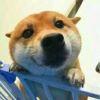 啊对对对