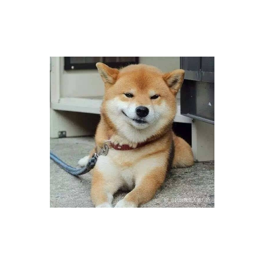 冷风潇潇