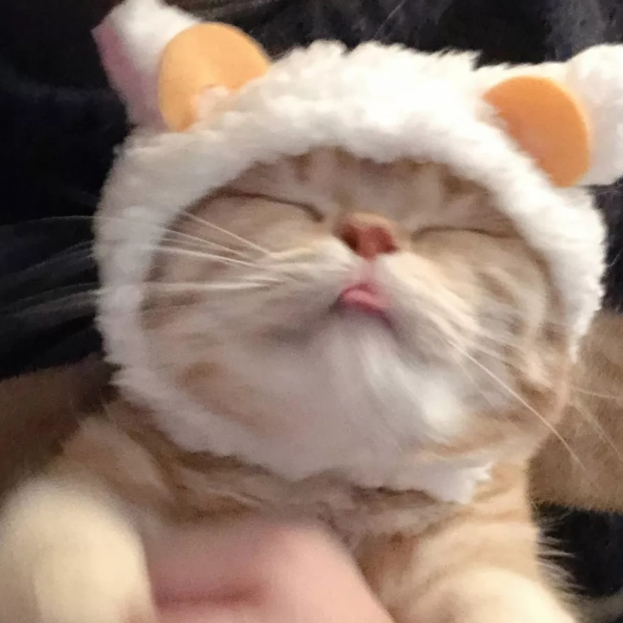 小徐
