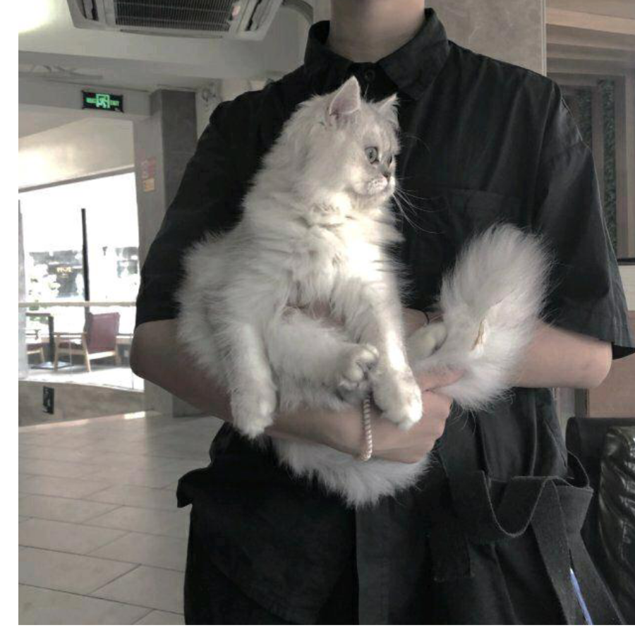 手机用户56985476