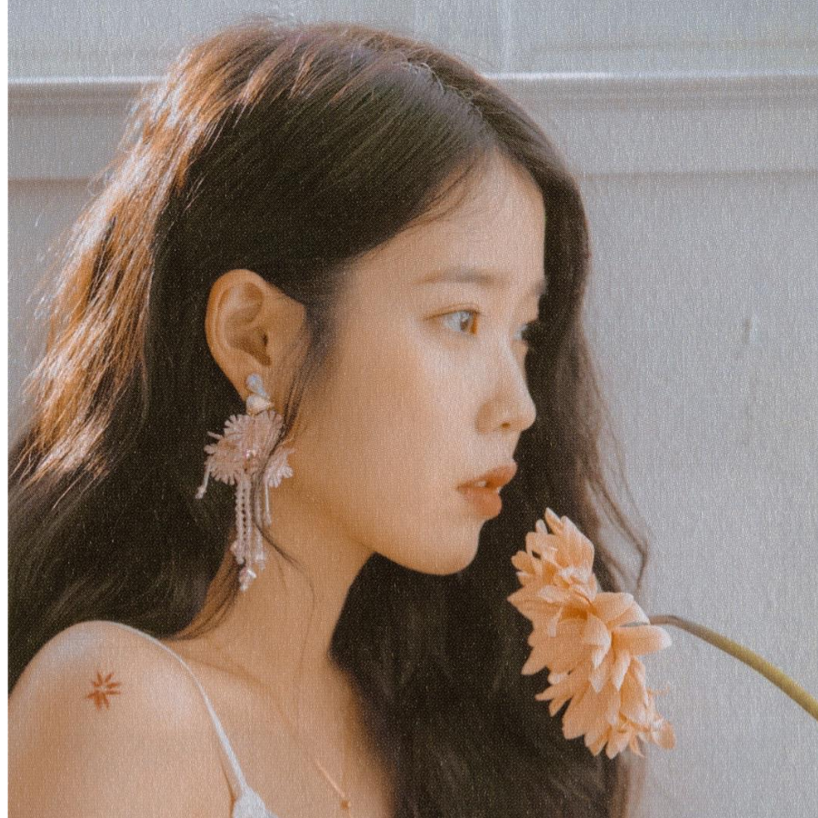 爱吃德芙的喵咪