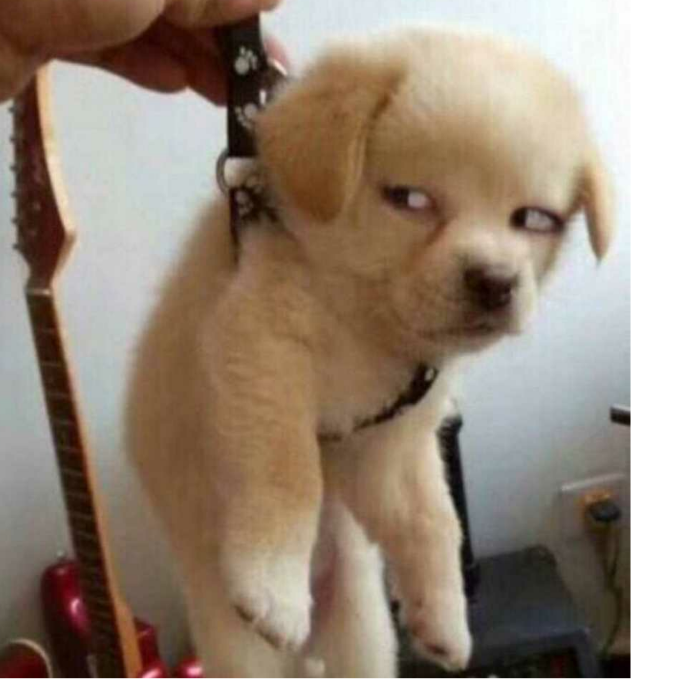 ，