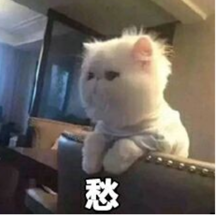 金鸽