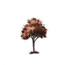 好名字可以让你的朋友更容易记住