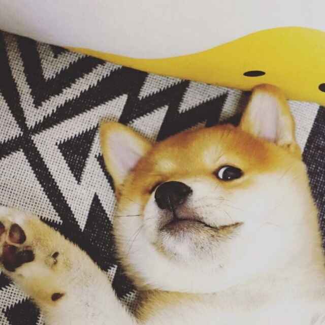 ......