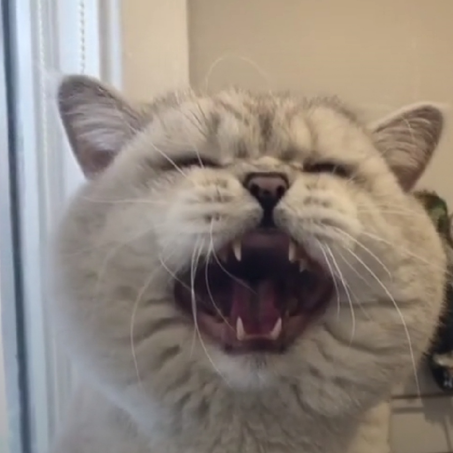 77