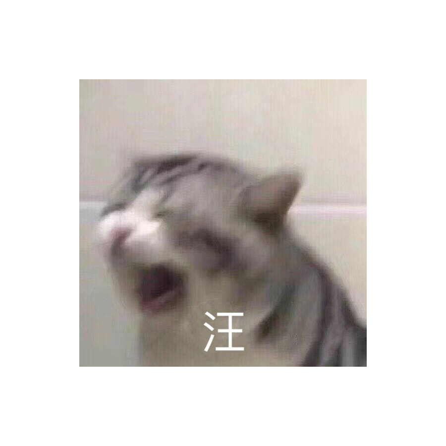 翼之翼