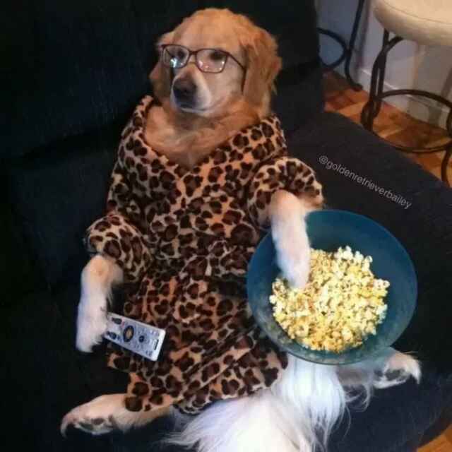 一只小鱼和卓卓