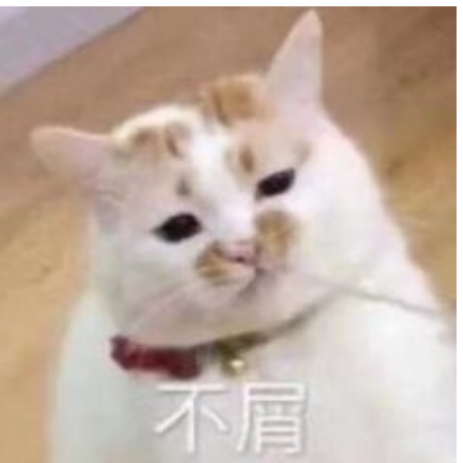 齐荧sama