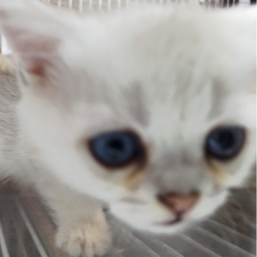 你不认识我