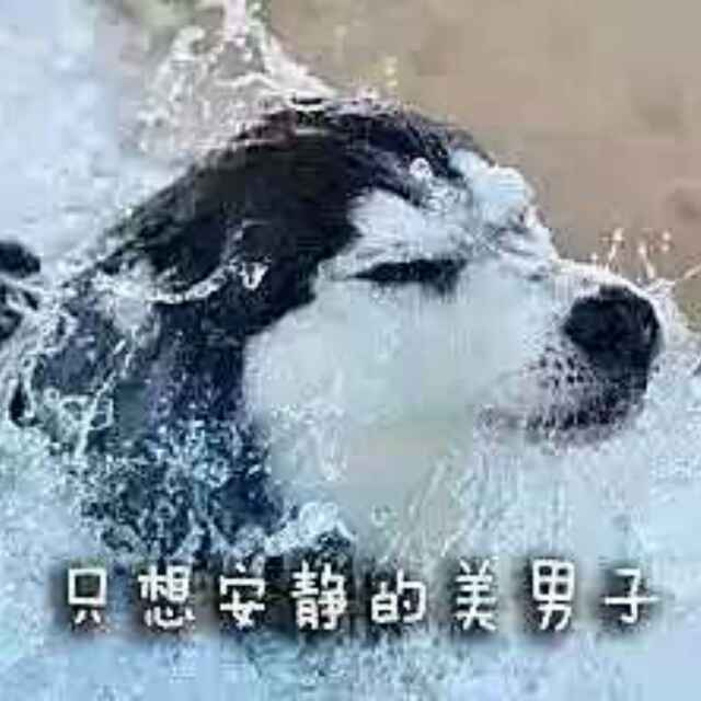 名字起的不是一般的短实在不行就