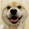 -笑灿!