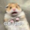 好好爱你