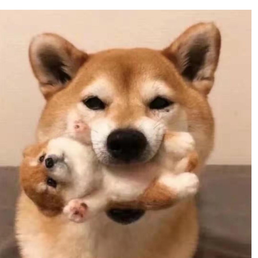 花以香为傲