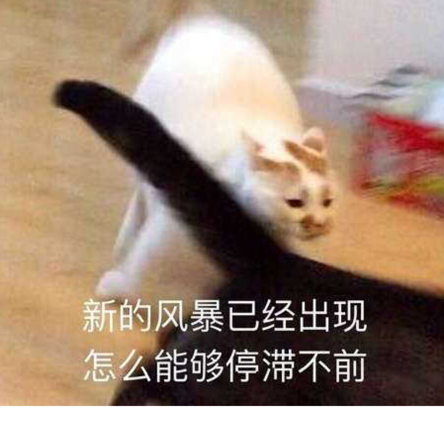 苏凉凉🐈凉凉凉