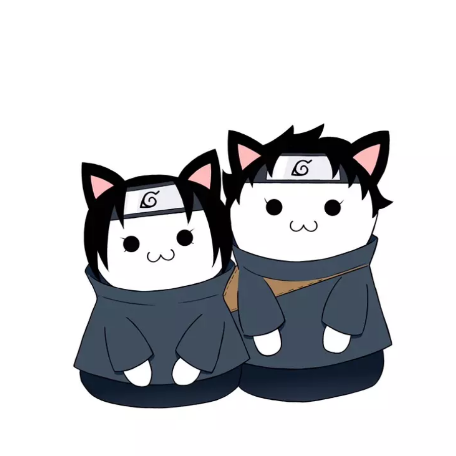 地衣