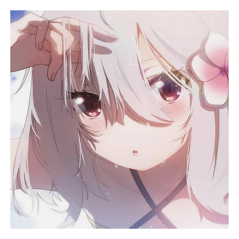 蓓仴
