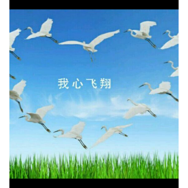 我心飞翔