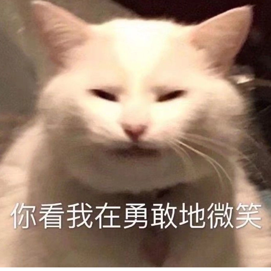 Lzz