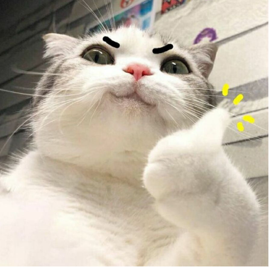 神秘小喵