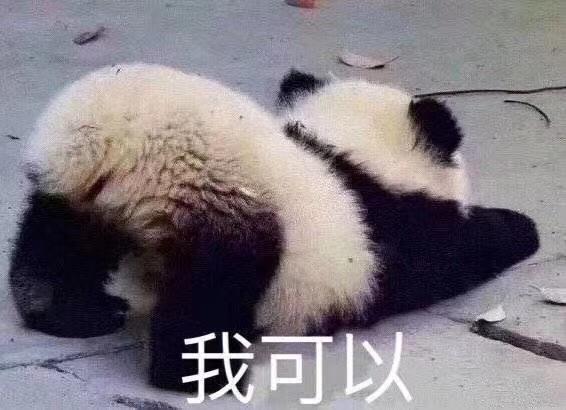 白衬衫少女